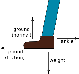 slightly unrealistic diagram of a foot on level ground
