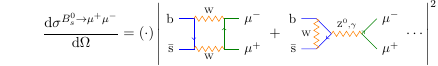 Feynman diagrams for B meson to muon in standard model