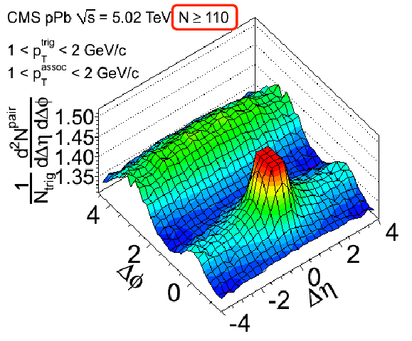 The Ridge, in new CMS data