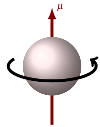 A spinning particle with a magnetic moment