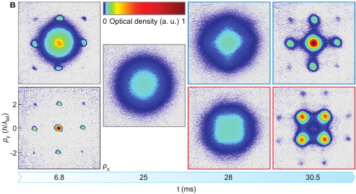 Evolution of potassium in an optical lattice