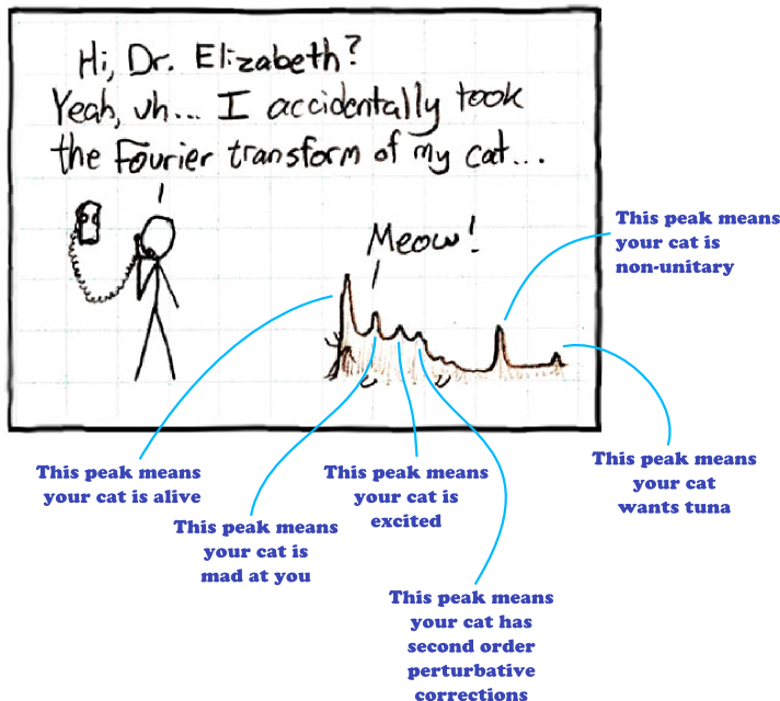 interpreting Fourier transform of a cat