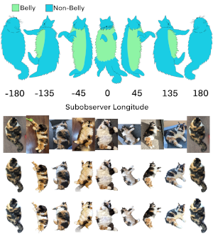 Longitudinal coordinates of floofy objects: figure 2 from arxiv:2103.16636, used with permission Diagram and photos of a cat lying in different positions including belly-up and belly-down, labeled with the angle of the cat's orientation